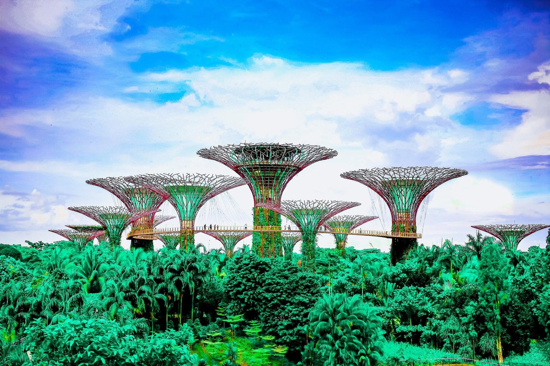 Supertree Grove at Gardens by the Bay Singapore under bright sky
